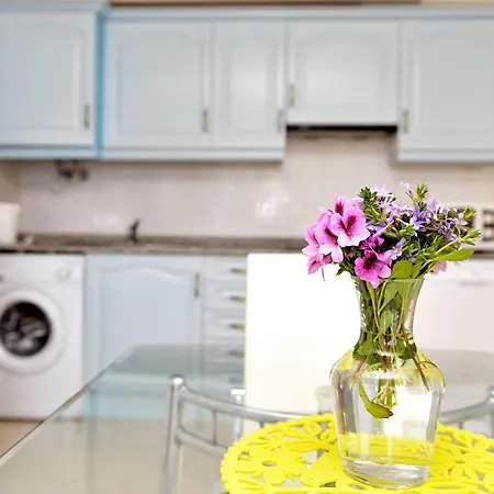 Atico Suite Ola Blanca Apartment